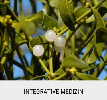 Integrative medizin